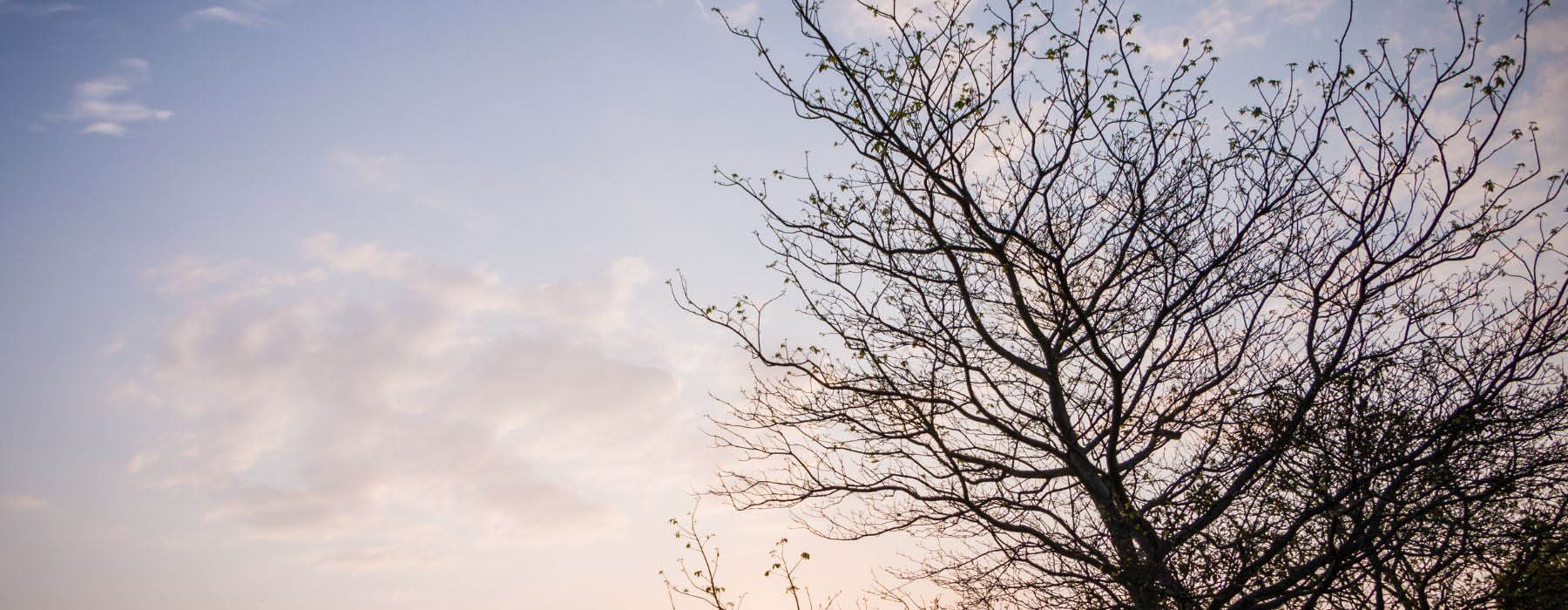 Mindfulness 2 Web Banner