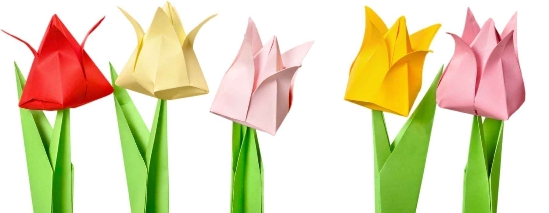 Youth Origami: Folded Flowers