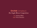 orchid amateur