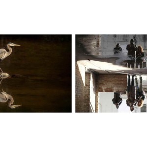 presbyterian college  slangle and lada